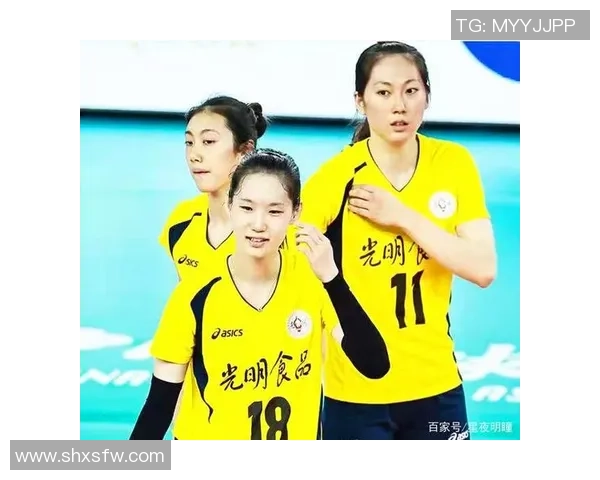 西安排球队技术实力强劲荣登排球技术排行榜第二名 西安排球队技术实力强劲荣登排球技术排行榜第二名