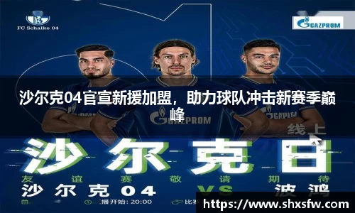 沙尔克04官宣新援加盟，助力球队冲击新赛季巅峰