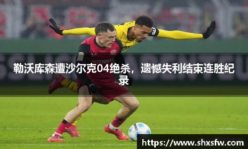勒沃库森遭沙尔克04绝杀，遗憾失利结束连胜纪录