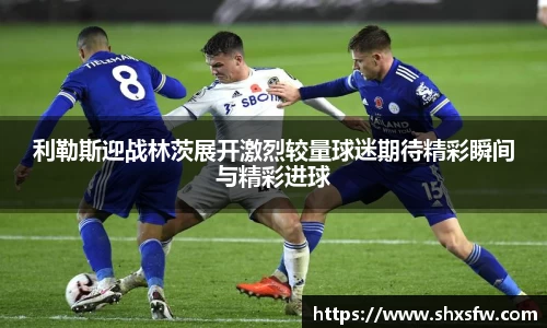 利勒斯迎战林茨展开激烈较量球迷期待精彩瞬间与精彩进球