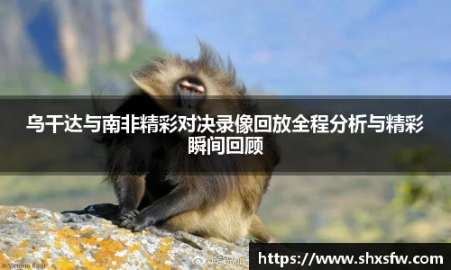 乌干达与南非精彩对决录像回放全程分析与精彩瞬间回顾