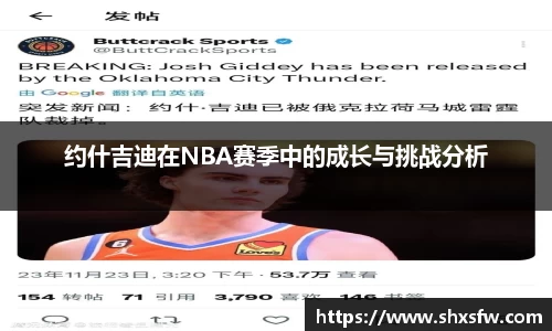 约什吉迪在NBA赛季中的成长与挑战分析