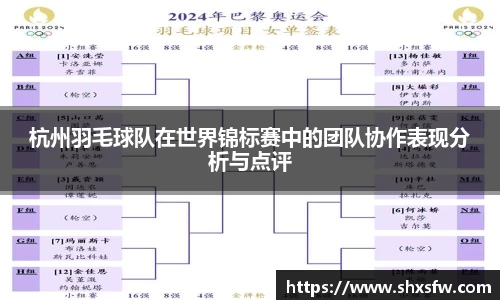 杭州羽毛球队在世界锦标赛中的团队协作表现分析与点评